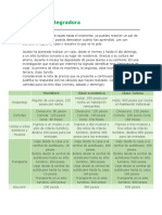 Actividad Integradora-U1