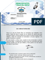 PROYECTO V.pptx