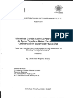 Sintesis de Carbon Activado A Partir de Bagazo Caracteristica Superficial y Funcional PDF