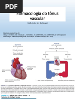 Aula 18  Farmacologia Do Tônus Vascular