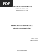 relatorio - canabinoides