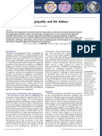 Thrombotic Microangiopathy and the kidney CJASN