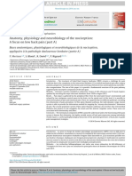 Anatomia, Fisiologia e Neurobiologia Da Nocicepção