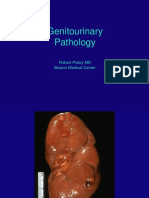 Genitourinary Pathology: Robert Pistey MD Boston Medical Center