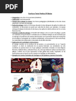 Rúbrica Escritura texto poético