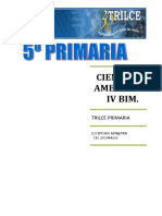 CTA. IV BIM.doc