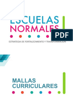 10 mallas-LES.pdf
