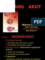 Radang Akut - MG