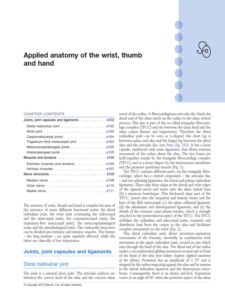 Applied Anatomy of The Wrist, Thumb and Hand: Joints, Joint Capsules ...