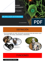 Neuro. Clinica 2018 PDF