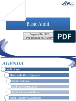 Basic Audit 2017