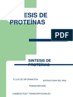 12._Sintesis_de_proteinas.docx