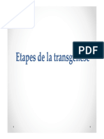 2 Etapes de La Transgénèse
