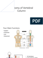 CBL Anatomy of Vertebral Column