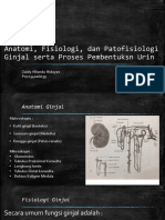 Anatomi, Fisiologi, Dan Patofisiologi Ginjal