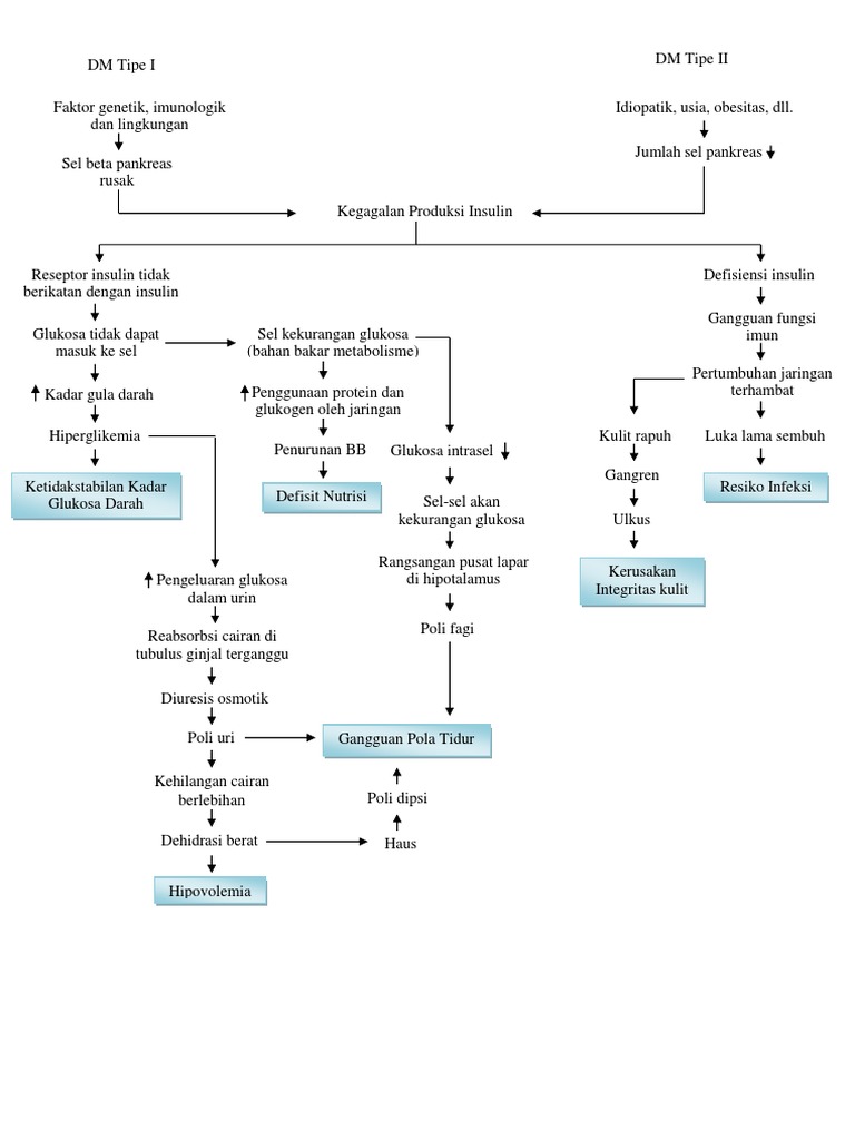 Pathway Diabetes Melitus Tipe 1 & 2 | PDF