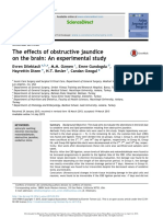 The Effects of Obstructive Jaundice On The Brain: An Experimental Study