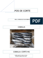 Presentación Cortes de Pescado