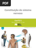 l1 Constituic3a7c3a3o Do Sistema Nervoso