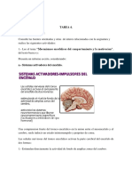 Tarea 4 de Anatomia y Fisiologia Del Sistema Nervioso.
