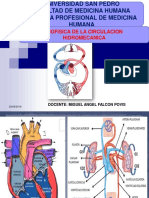 Biofisica Clase 7 Biofisica de La Circulacion Sanguinea