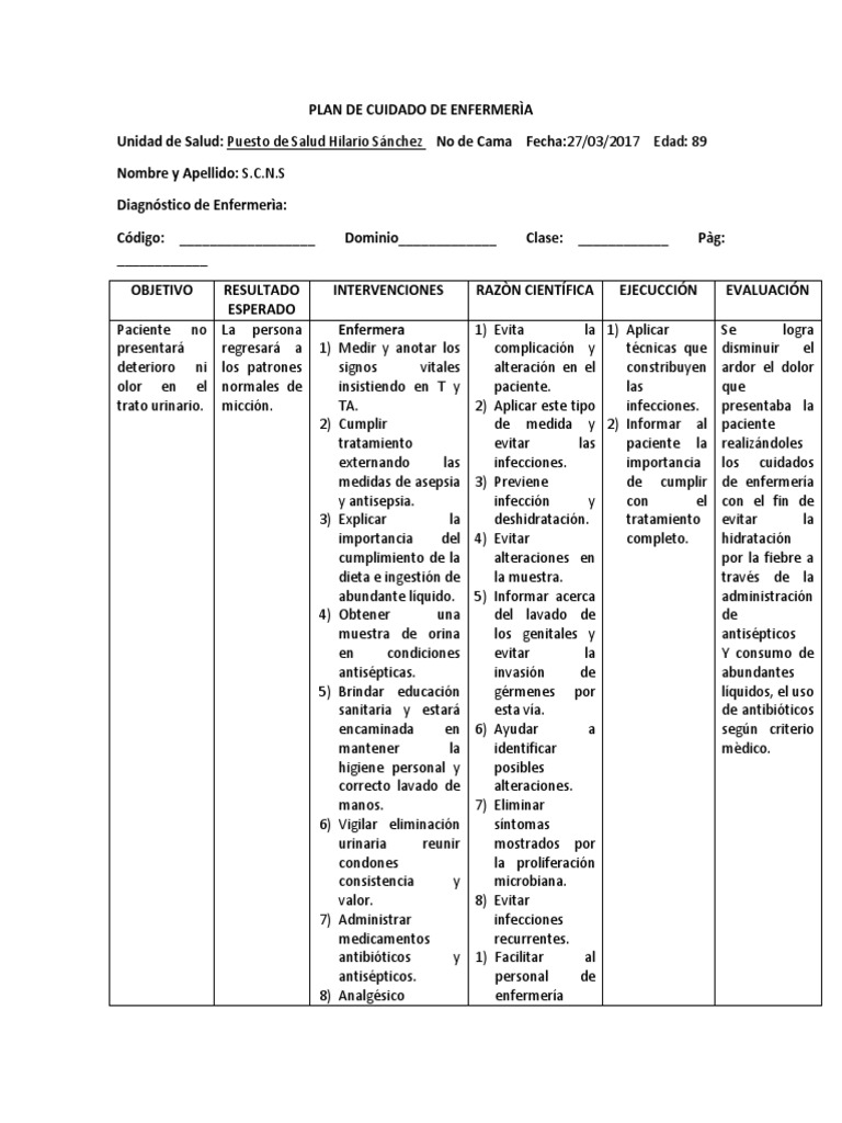 Plan de Cuidado de Enfermería para Infección Urinaria | PDF ...