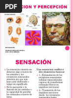 SENSACION Y PERCEPCIÓN DIAPOSITIVAS.pptx