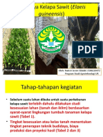 Budidaya Kelapa Sawit UR.ppt