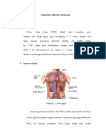 Laporan Pendahuluan CKD