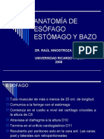 Anatomia de Esofago Estomago y Bazo