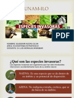 Especies Invasoras