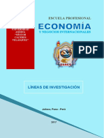 Linea de  Investigacion economia UANCV
