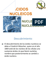 Acidos Nucleicos