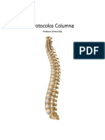 Tipeo Columna TC