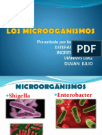 Diapositiva Microorganismos