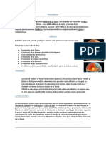 Precámbrico.pdf
