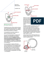 HBP DEGR y Prostatitis Final