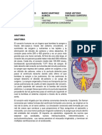 ARTERIOGRAFIA CORONARIA 