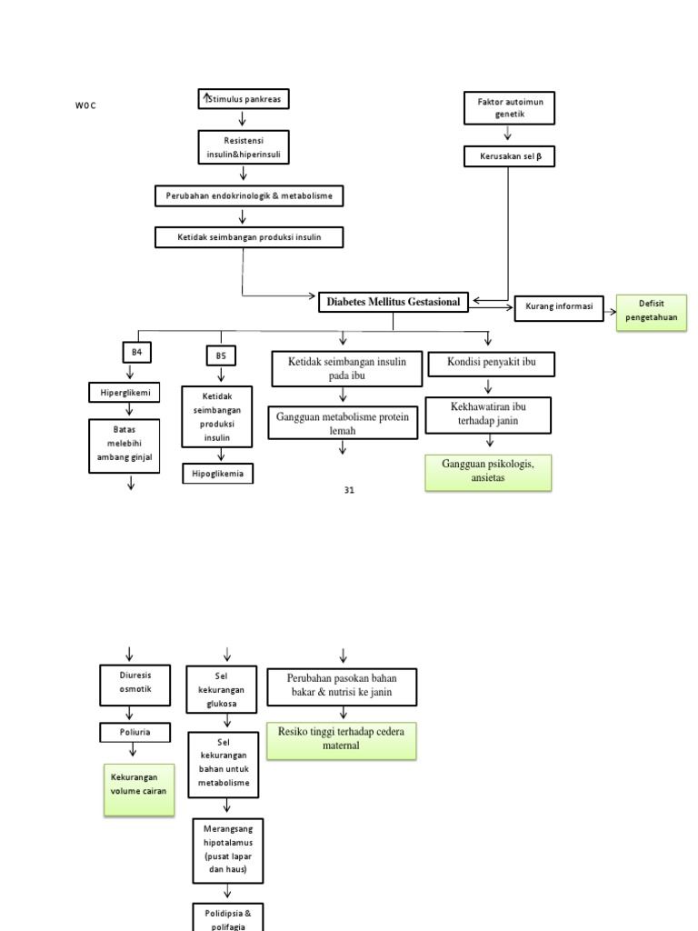 Patofisiologi Diabetes Gestasional | PDF | Kesehatan Holistik