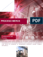 MEROX.pptx