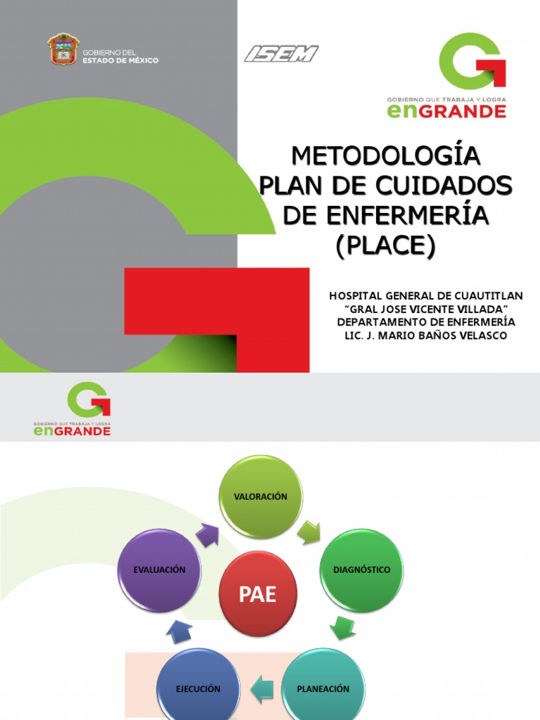 Plan de Cuidados de Enfermería PLACE | PDF | Enfermería | Ciencias de ...
