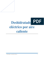 362728944-Deshidratador-Por-Aire-Caliente.docx