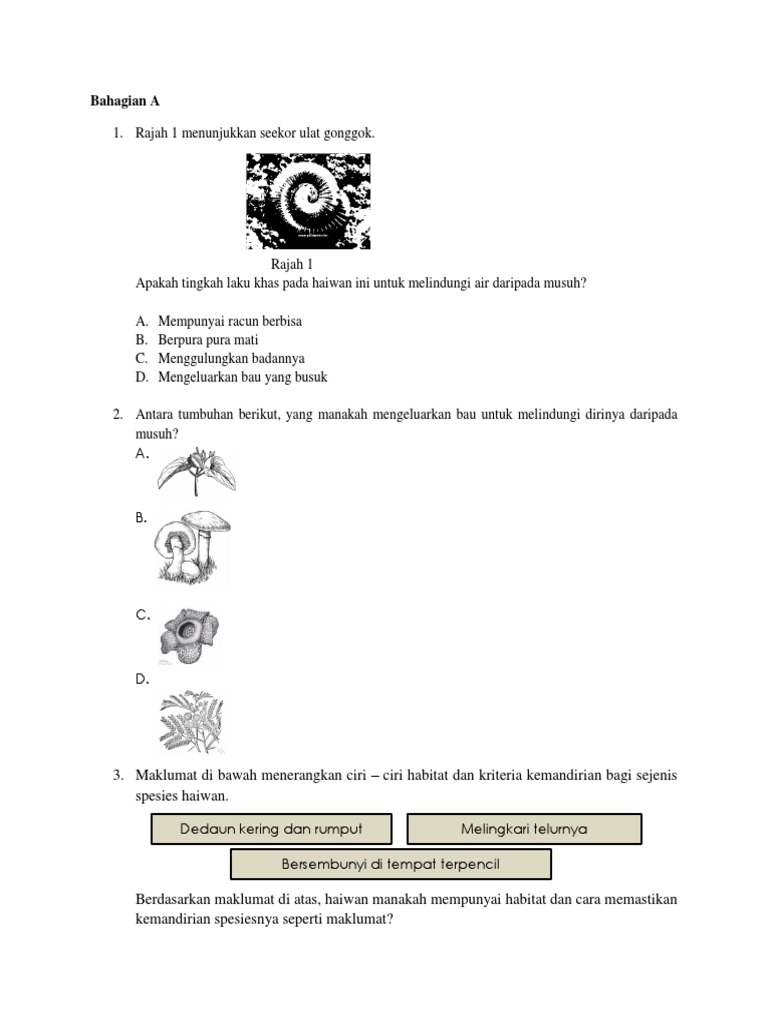 Sains Tahun 5 Pdf