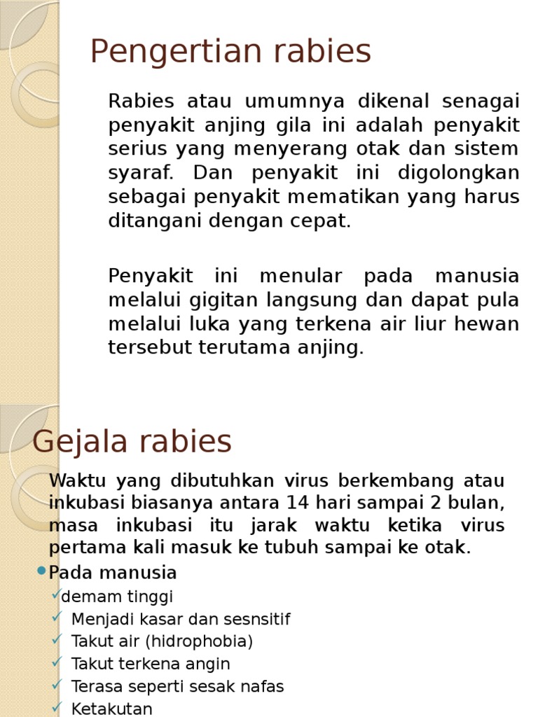 Panduan Lengkap Rabies: Gejala dan Pencegahan | PDF | Pengembangan Diri