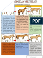 Evolusi Poster Kuda