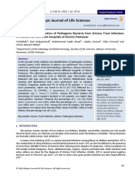 Isolation and Identification of Pathogenic Bacteria from Urinary Tract Infections in Infants from Different Hospitals of District Peshawar