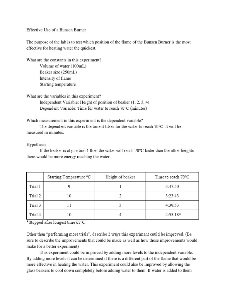 Bunsen Burner Lab Report Experiment Temperature