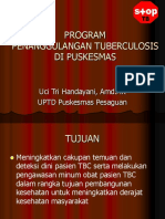 Program Penanggulangan Tuberculosis Di Puskesmas: Uci Tri Handayani, Amd - AK UPTD Puskesmas Pesaguan