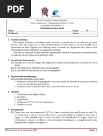 Protocolo Velocidade Do Som e Da Luz