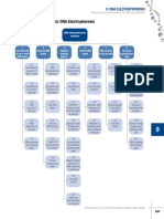 9 DNA Troubleshooting